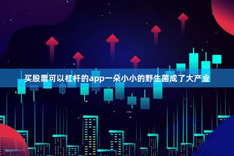 买股票可以杠杆的app一朵小小的野生菌成了大产业