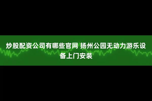 炒股配资公司有哪些官网 扬州公园无动力游乐设备上门安装