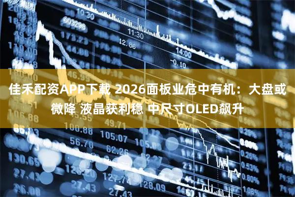 佳禾配资APP下载 2026面板业危中有机：大盘或微降 液晶获利稳 中尺寸OLED飙升